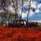 Middle Lagoon, Dampier Peninsula 5. – 10. April 2016