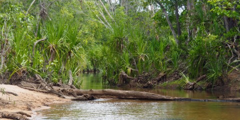 Douglas Hot Springs Park 11. – 13. Mai 2016