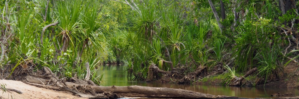 Douglas Hot Springs Park 11. – 13. Mai 2016