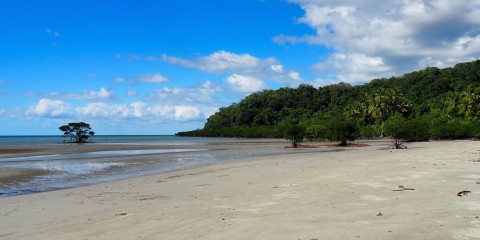 Cape Tribulation 1.  –  2.  Juni 2016