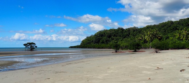 Cape Tribulation 1.  –  2.  Juni 2016