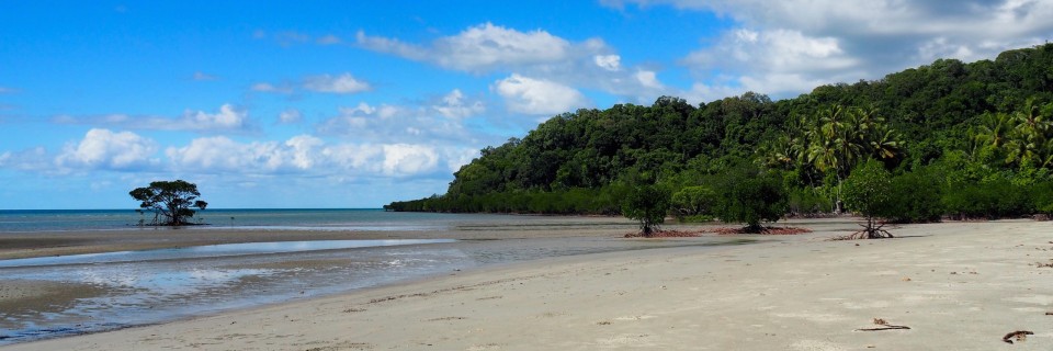 Cape Tribulation 1.  –  2.  Juni 2016